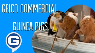 GEICO Commercial - Guinea Pigs 🐹🛶 (2011)