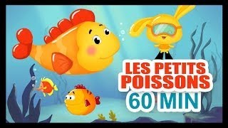 Les petits poissons dans leau