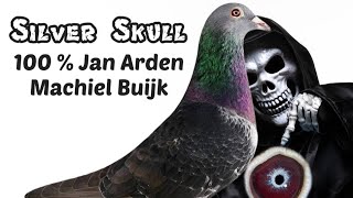 Silver Skull Jan Arden Racing Pigeon 2024 in Pakistan