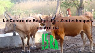 Présentation du Centre de Recherches Zootechniques de KOLDA (ISRA/CRZ)