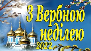 Чорнухи.Вербна неділя. 17 04 2022