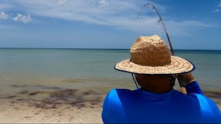 Fishing Dirty Shark Infested Waters @Bonita Springs