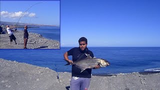 Pêche au port, sériole à la cale île de la Réunion 974 + civet calamar