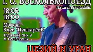 Т. О. ВОСКОЛЬКОПОЕЗД Концерт перформанс "Цезий и Уран"