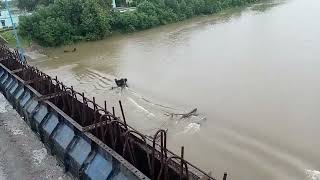 sodhana vartu ma Mani ni aavak 🌧️😯