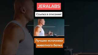 Три лучших источника белка