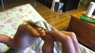 Lou pet Mantis being pet