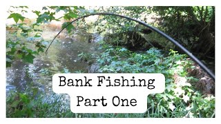 Bank Fishing with live bait