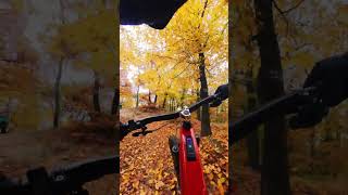 Emtb uphill power #mtb #enduro #ebike #insta360go3 #bosch #uphill #autumn #chalenge