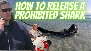 How to Handle a Prohibited Shark | Dead Hammer Challenge Leads to 2018 Regs?