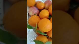 Satisfying fresh fruits #viral #shorts #satisfying #delicious #fruit