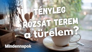 Tényleg rózsát terem a türelem?