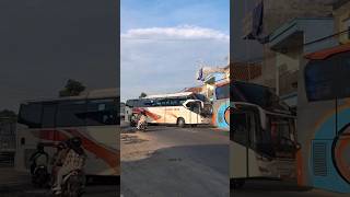 Bus Rosalia Indah dan Murni Jaya Keluar Terminal #shorts #short #busmania