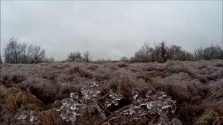 Ice Storm Dec 2013