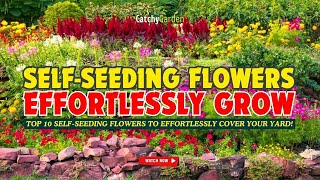 TOP 10 SELF-SEEDING FLOWERS TO EFFORTLESSLY COVER YOUR YARD! 🌼🌸🌻 // Gardening Ideas