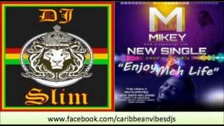 New Mikey | Enjoy Meh Life [2013 CropOver Soca]