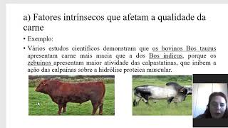 Elaboração de Projetos Agroindustrial aula 02 parte 02