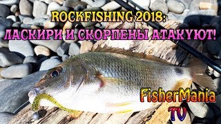 ROCKFISHING 2018 #2: СКОРПЕНЫ И ЛАСКИРИ АТАКУЮТ!