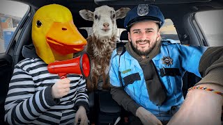 Rubber Ducky Surprises Police & Puppy with Car Ride Chase by Ducky life