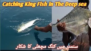 Catching King Fish in The Deep sea/سنمدر میں کنگ مچھلی کا شکار