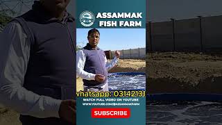 Pond Fish Farming Site Convert Into Biofloc Fish Farming Farm