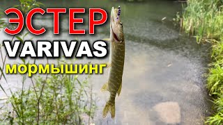 Ловлю на ЭСТЕР Varivas AJING MASTER | Разведка | Новые водоёмы #мормышинг #nanojig #стритфишинг