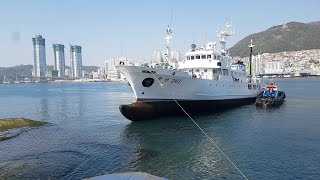 PROSES KAPAL NAIK DOCKING - BUSAN