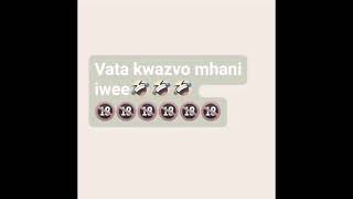 zvingazonakidza here😂😂🙌🙌🙌