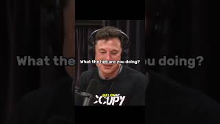 Elon Musk's exact reaction just after Smoking Weed on Joe Rogan's Podcast 🚬😂 | #short