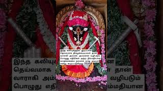 நிம்மதியான வாழ்க்கை வாழ #வார்த்தாளி #srivarahiammanhistory #varahiamman108potriintamil #வாராஹி