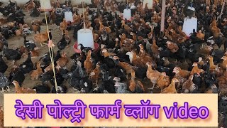 sra poultry farm Hanumangarh Rajasthan my new form blog video #YouTube channel