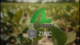 Why Zinc Deficiency Is Stealing Your Farm's Profits