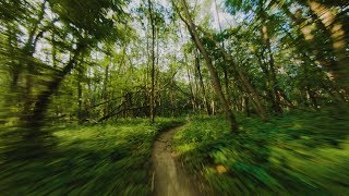 Trimming Trail - FPV Flight