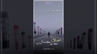 استاد شجاعی:وقتی تصمیم میگیری بری توی چادر امام زمان, ایشون اصلا کاری با گذشته ت ندارن