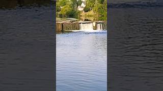 LOW H20! River Raisin waterfall low. #shorts #river #nature #fishing