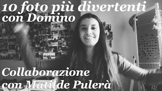 10 foto più divertenti con Domino | Collaborazione con Matilde Pulerà | Pernilla Iperti