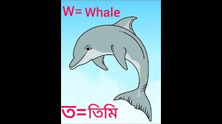 Alphabets learning with Word step by step 🐬🐬 || ব্যঞ্জনবর্ণ ক খ গ ঘ ঙ 🐳🐳Alphabets song || #shorts