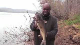 Man Catches Talking Catfish Pt. 2