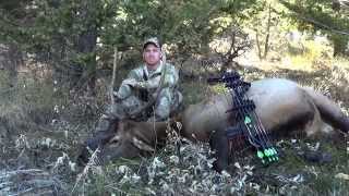 Montana Archery Elk Hunting 2013 - 701 Outdoors