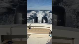 High Speed Wahoo Trolling #fish #sportfishing #wahoofishing #fishing #fishingvideo #fishinglife