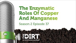 The Enzymatic Roles Of Copper And Manganese