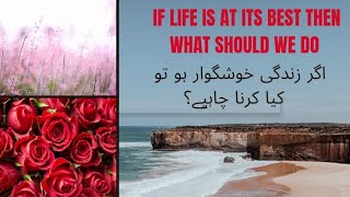 If Life is at its best then what should we do? اگر زندگی خوشگوار ہو تو کیا کرنا چاہیے ؟