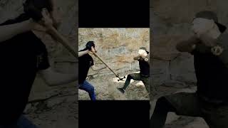 Zweihander vs Poleaxe assault #shorts #youtubeshorts #zweihander #poleaxe