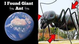 I Found Giant 🐜 Ant 🐜 On Google Earth & Map