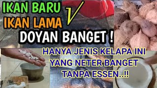 TUTORIAL RACIKAN UMPAN BAWAL  MEDIA KELAPA.