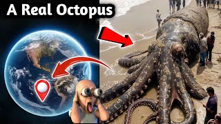 😱The world's most Amazing Real-Life Giant Octopus Square😱| Google Earth And Google Maps |