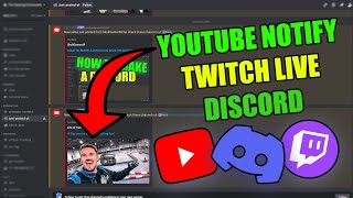 How To Set Up YouTube Bot Discord!