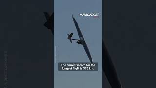 This glider is foot-launched!