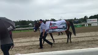 Gamine after winning the Ballerina Handicap