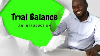 Introducing the trial balance in accounting: A Comprehensive Introduction